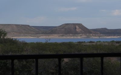 Gallery_01
